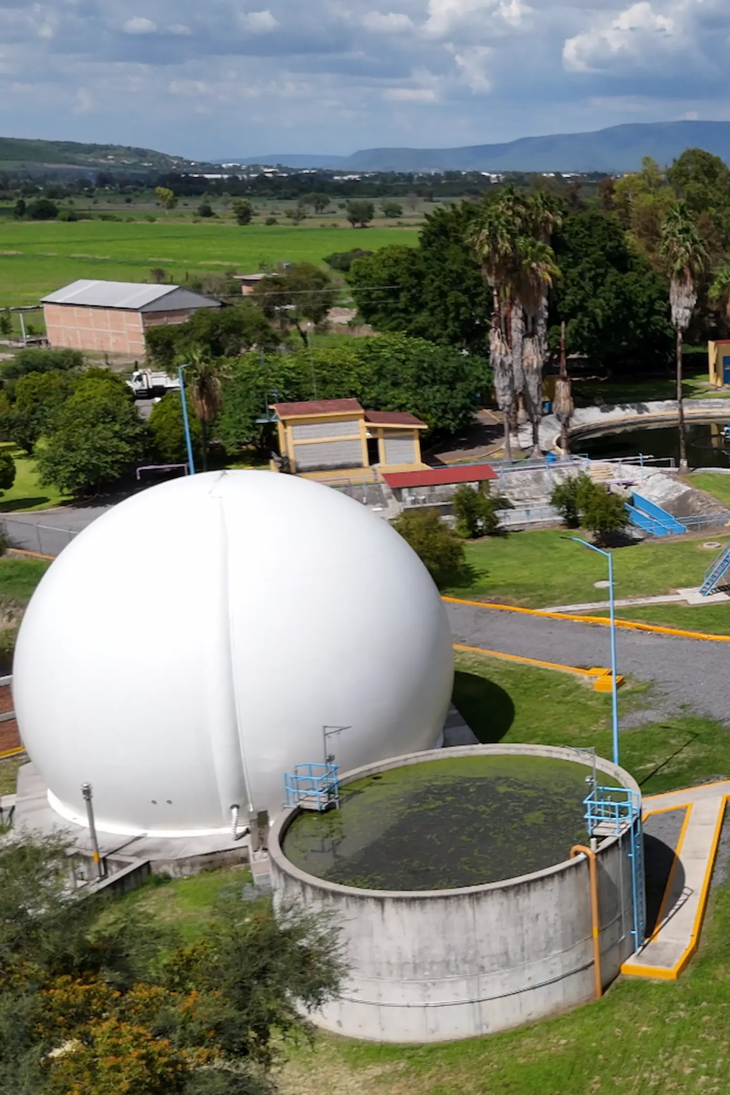 Reporte de Eficiencia Volumétrica